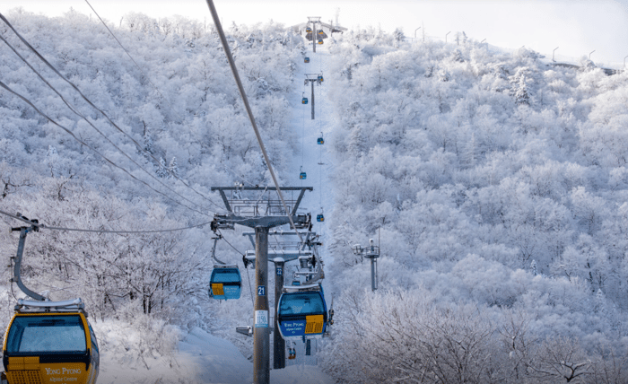 【韓國｜平昌】龍平滑雪場雪票 多日雪票 可加購教練 image