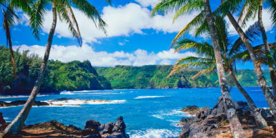 2d2d4bf9-1d42-4e55-a6a2-940456904bb0