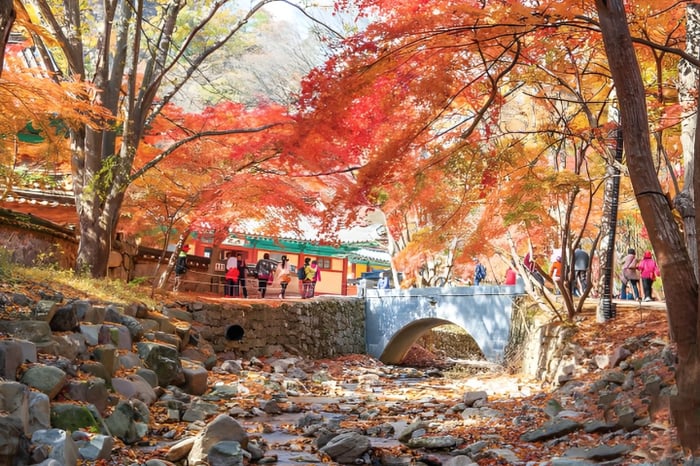 【韓國｜首爾】紅葉秋色 自由行套票 image