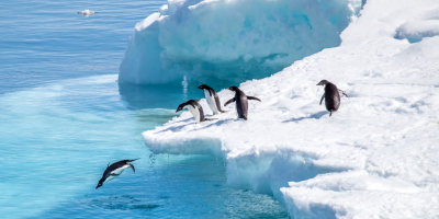 69462d54-bfd3-418d-b8ee-44146697854a