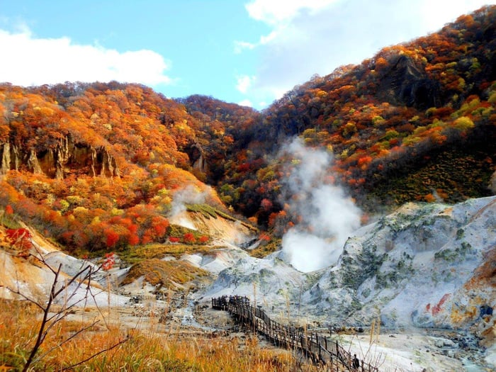 【日本｜北海道】札幌登別賞楓自由行套票 image