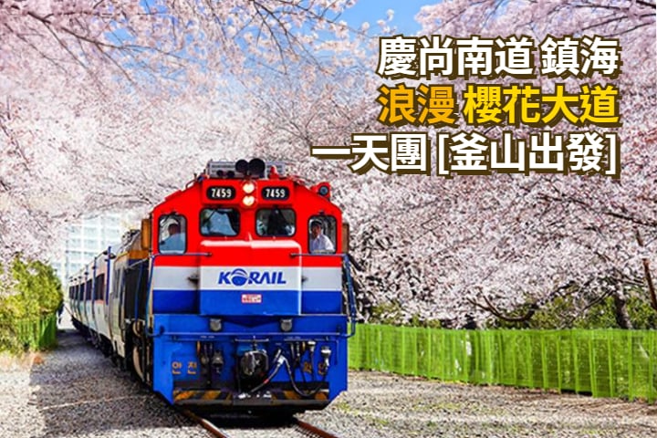 【釜山出發】鎮海浪漫櫻花大道一天團