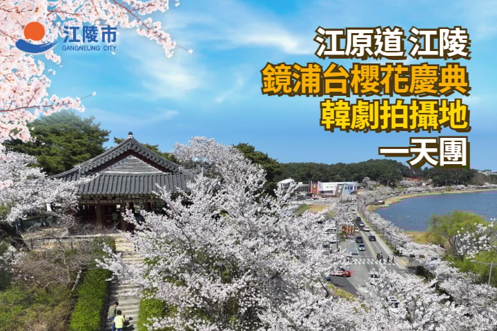 【韓國|江陵】首爾出發|江陵鏡浦台櫻花慶典韓劇拍攝地一天團