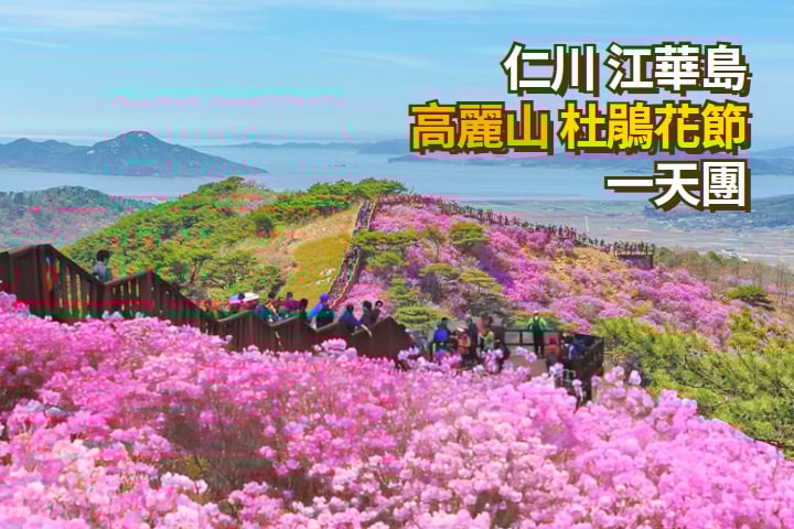 【韓國|首爾】江華島杜鵑花節ᅳ天團