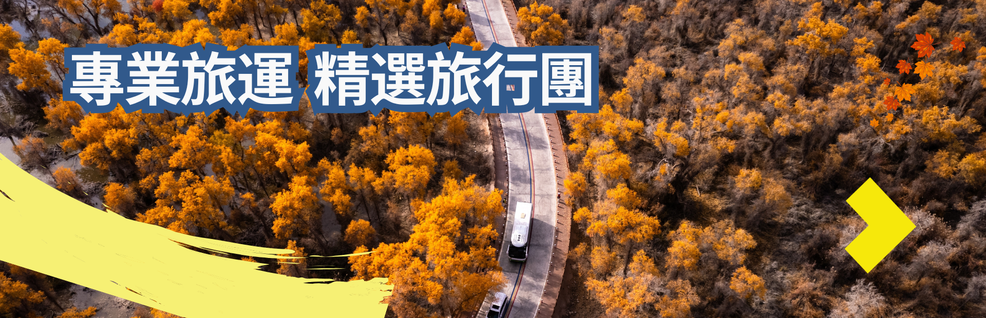 秋季精選