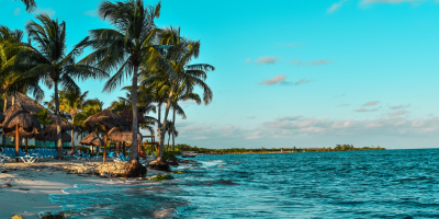 ea11fbce-6421-4f83-8766-8513d8614a08