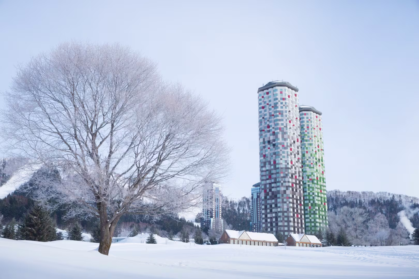 【日本 | 北海道】星野 Tomamu 度假村 滑雪套票 image