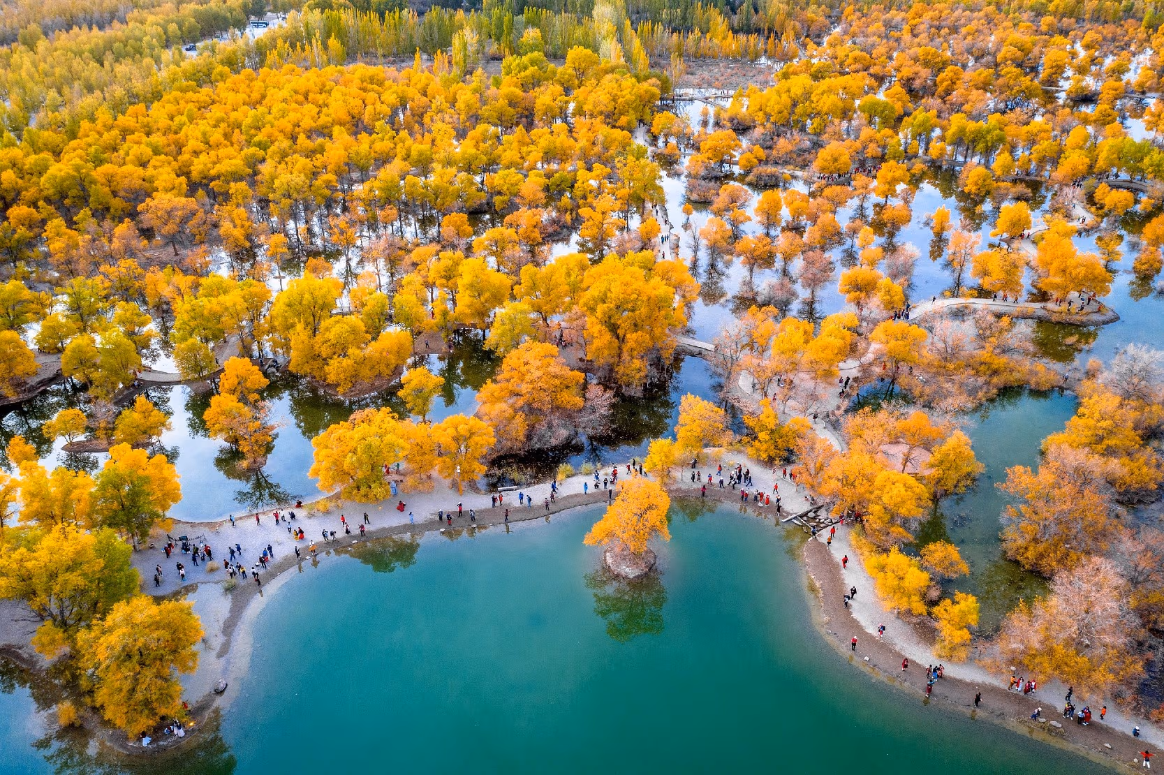 【新疆旅行團】12天 南疆 探索胡楊林奇景 (秋季限定) image