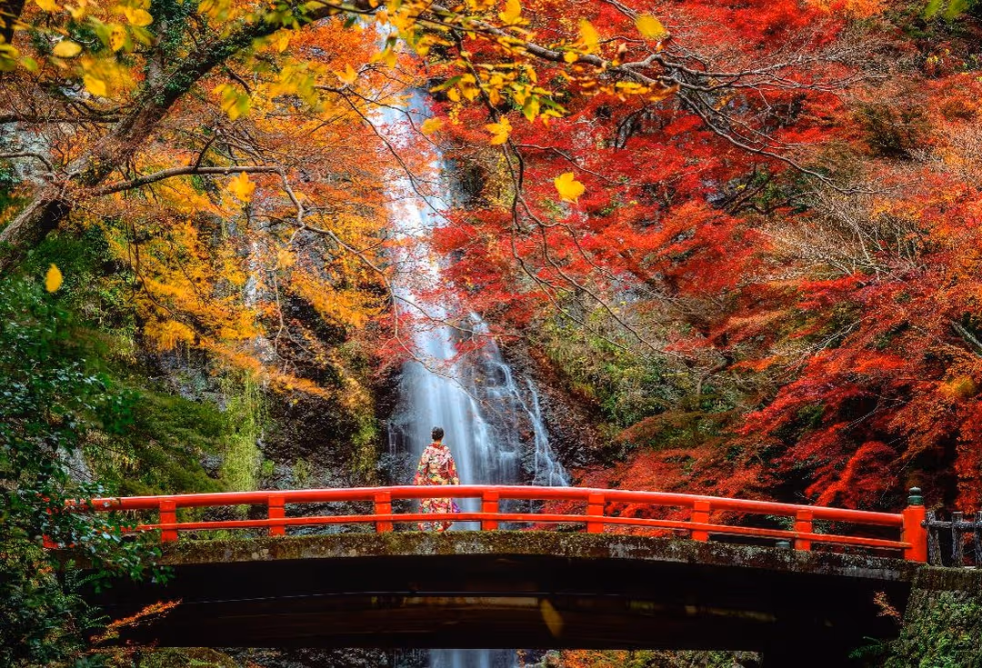 【日本旅行團】5天 大阪、京都狩紅葉之旅 image