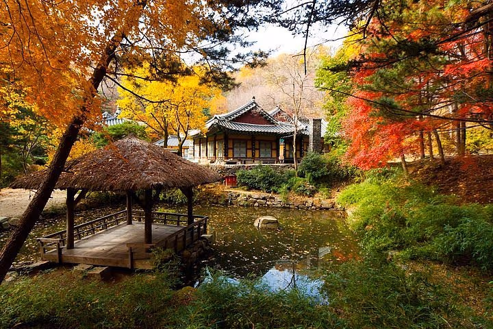 5天 韓國 江原道 High 1 賞楓之旅 image